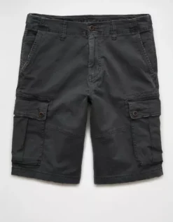 AE Flex 12" Lived-In Longer Length Cargo Short -American Eagle Fashion 0132 7280 167 f