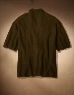 AE X Tru Kolors Sweater Polo Olive -American Eagle Fashion 0141 2165 309 b