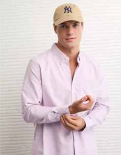 AE Everyday Classic Fit Oxford Button-Up Shirt Lively Lilac