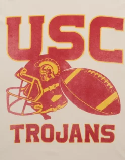 AE USC Trojans Graphic T-Shirt Cream -American Eagle Fashion 0164 4726 106 d1