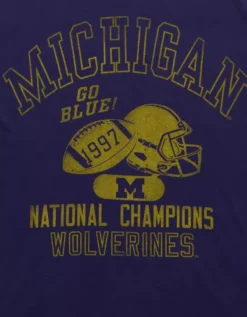 AE Boxy Michigan Wolverines Graphic T-Shirt Tidal Blue -American Eagle Fashion 0164 4728 415 d1