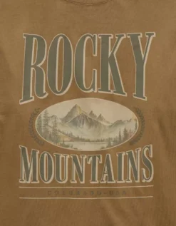 AE Boxy Vintage Graphic T-Shirt Khaki -American Eagle Fashion 0181 4117 212 d1