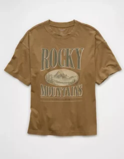 AE Boxy Vintage Graphic T-Shirt Khaki -American Eagle Fashion 0181 4117 212 f