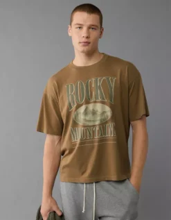 AE Boxy Vintage Graphic T-Shirt Khaki -American Eagle Fashion 0181 4117 212 os