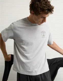 AE Boxy Logo Graphic T-Shirt Heather Frost