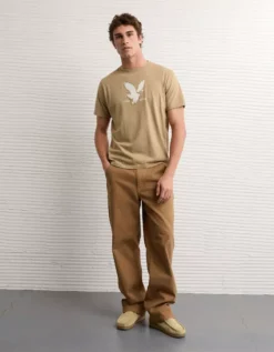 AE Graphic T-Shirt Khaki -American Eagle Fashion 0181 4675 212 os