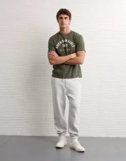 AE Graphic T-Shirt Olive Fun -American Eagle Fashion 0181 4675 331 os