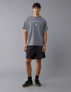 AE Lightweight Icon Logo Graphic T-Shirt Light Faded Gray -American Eagle Fashion 0181 4819 007 os