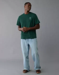 AE Lightweight Icon Logo Graphic T-Shirt Emerald -American Eagle Fashion 0181 4819 311 os