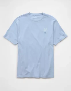 AE Lightweight Icon Logo Graphic T-Shirt Light Blue -American Eagle Fashion 0181 4819 401 f