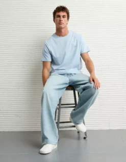 AE Lightweight Icon Logo Graphic T-Shirt Light Blue -American Eagle Fashion 0181 4819 401 os