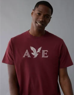 AE Lightweight Icon Logo Graphic T-Shirt Wine