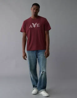 AE Lightweight Icon Logo Graphic T-Shirt Wine -American Eagle Fashion 0181 4819 558 os