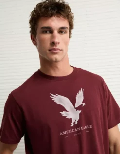 AE Lightweight Icon Logo Graphic T-Shirt Wineberry -American Eagle Fashion 0181 4819 902 os