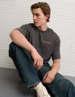 AE Boxy Corvette Graphic T-Shirt Dusted Slate -American Eagle Fashion 0185 4753 023 os