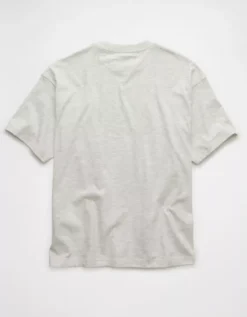 AE Boxy Pabst Blue Ribbon Graphic T-Shirt Heather Gray -American Eagle Fashion 0185 5054 006 b