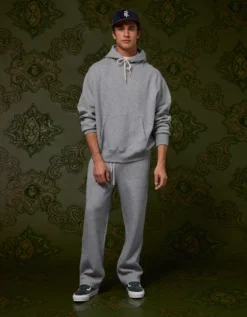 AE X Tru Kolors Active Hoodie Heather Gray -American Eagle Fashion 0186 2727 006 os