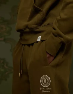 AE X Tru Kolors Heavyweight Graphic Hoodie Olive -American Eagle Fashion 0186 2735 309 d2