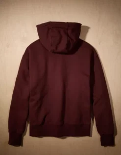 AE X Tru Kolors Heavyweight Graphic Hoodie Burgundy -American Eagle Fashion 0186 2735 613 b