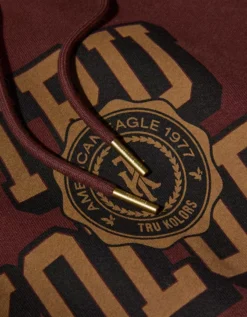 AE X Tru Kolors Heavyweight Graphic Hoodie Burgundy -American Eagle Fashion 0186 2735 613 d1