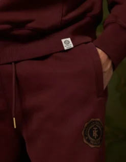 AE X Tru Kolors Heavyweight Graphic Hoodie Burgundy -American Eagle Fashion 0186 2735 613 d2