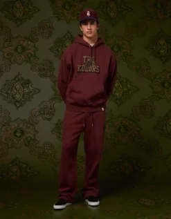 AE X Tru Kolors Heavyweight Graphic Hoodie Burgundy -American Eagle Fashion 0186 2735 613 os