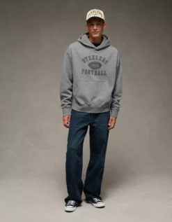 NFL Pittsburgh Steelers Graphic Hoodie Heather Gray -American Eagle Fashion 0188 2648 006 os