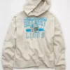 NFL Detroit Lions Graphic Hoodie Heather Frost