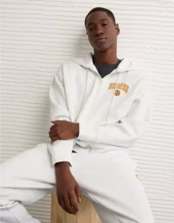 NFL Pittsburgh Steelers Graphic Zip-Up Hoodie Heather Frost