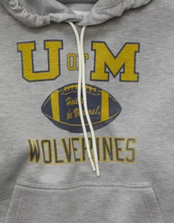 AE 24/7 Michigan Wolverines Graphic Hoodie Medium Heather Gray -American Eagle Fashion 0188 2660 012 d1
