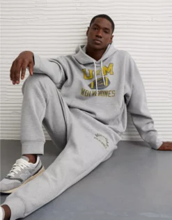 AE 24/7 Michigan Wolverines Graphic Hoodie Medium Heather Gray