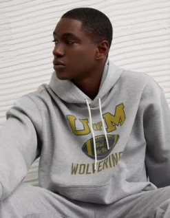AE 24/7 Michigan Wolverines Graphic Hoodie Medium Heather Gray -American Eagle Fashion 0188 2660 012 os