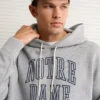 AE 24/7 Notre Dame Fighting Irish Graphic Hoodie Gray Marl