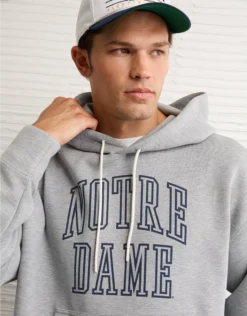 AE 24/7 Notre Dame Fighting Irish Graphic Hoodie Gray Marl
