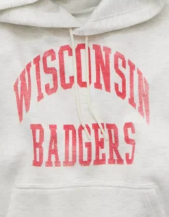 AE 24/7 Wisconsin Badgers Graphic Hoodie Heather Frost -American Eagle Fashion 0188 2660 062 d1