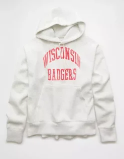 AE 24/7 Wisconsin Badgers Graphic Hoodie Heather Frost -American Eagle Fashion 0188 2660 062 f