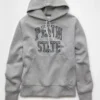 AE 24/7 Penn State Nittany Lions Graphic Hoodie Gray Heather