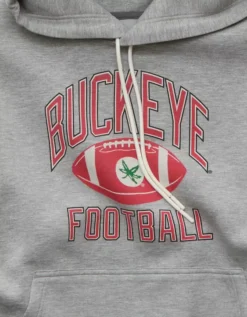 AE 24/7 Ohio State Buckeyes Graphic Hoodie Heather Gray -American Eagle Fashion 0188 2664 006 d1