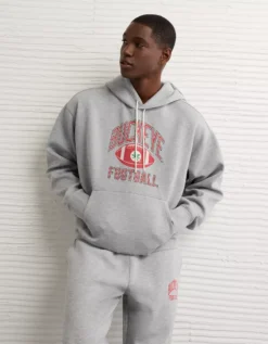 AE 24/7 Ohio State Buckeyes Graphic Hoodie Heather Gray -American Eagle Fashion 0188 2664 006 os