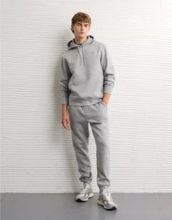 AE 24/7 Hoodie Gray Heather
