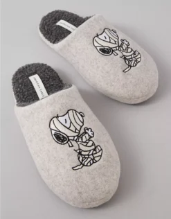 AE Men's Snoopy Halloween Slippers Gray