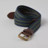 AE Striped Webbed Belt Pine