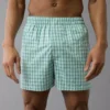 AEO Men's Striped Poplin Pocket Boxer Short Teal