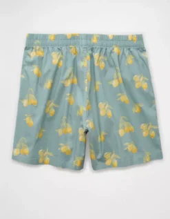 AEO Men's Lemons Poplin Pocket Boxer Short Teal -American Eagle Fashion 0231 0024 395 b