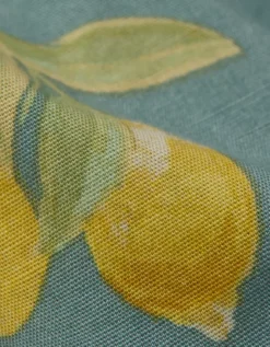 AEO Men's Lemons Poplin Pocket Boxer Short Teal -American Eagle Fashion 0231 0024 395 d1