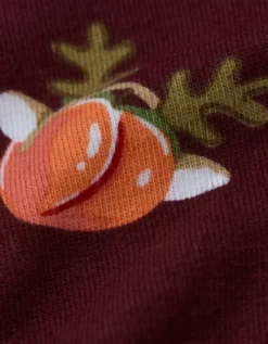 AEO Men's Reindeer 6" Classic Boxer Brief Burgundy -American Eagle Fashion 0235 0114 613 d1