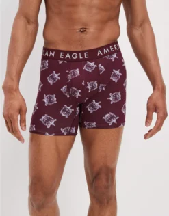 AEO Glass Turtles 6" Classic Boxer Brief