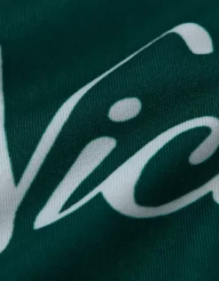 AEO Men's Christmas 6" Flex Boxer Brief Green -American Eagle Fashion 0236 0132 300 d1