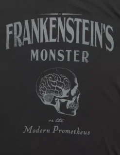 AE Oversized Halloween Graphic T-Shirt Dusted Slate -American Eagle Fashion 0303 1140 023 d1