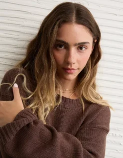 AE Long Weekend Pullover Sweater Brown -American Eagle Fashion 0348 1606 200 d2